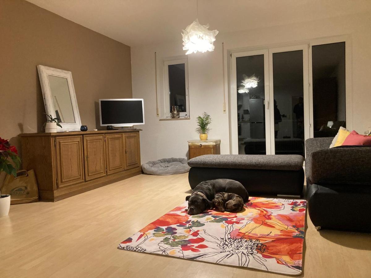 3 Zi Wohnung Haustiere Willkommen Im Markgraeflerland Dreilaendereck Schliengen Zewnętrze zdjęcie